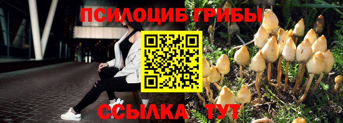Псилоцибиновые грибы мухоморы  Вход с VPN  Чусовой  Псилоцибиновые грибы Magic Shrooms 