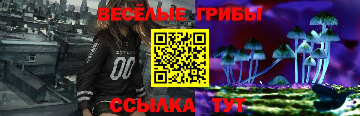 Псилоцибиновые грибы Magic Shrooms Чусовой